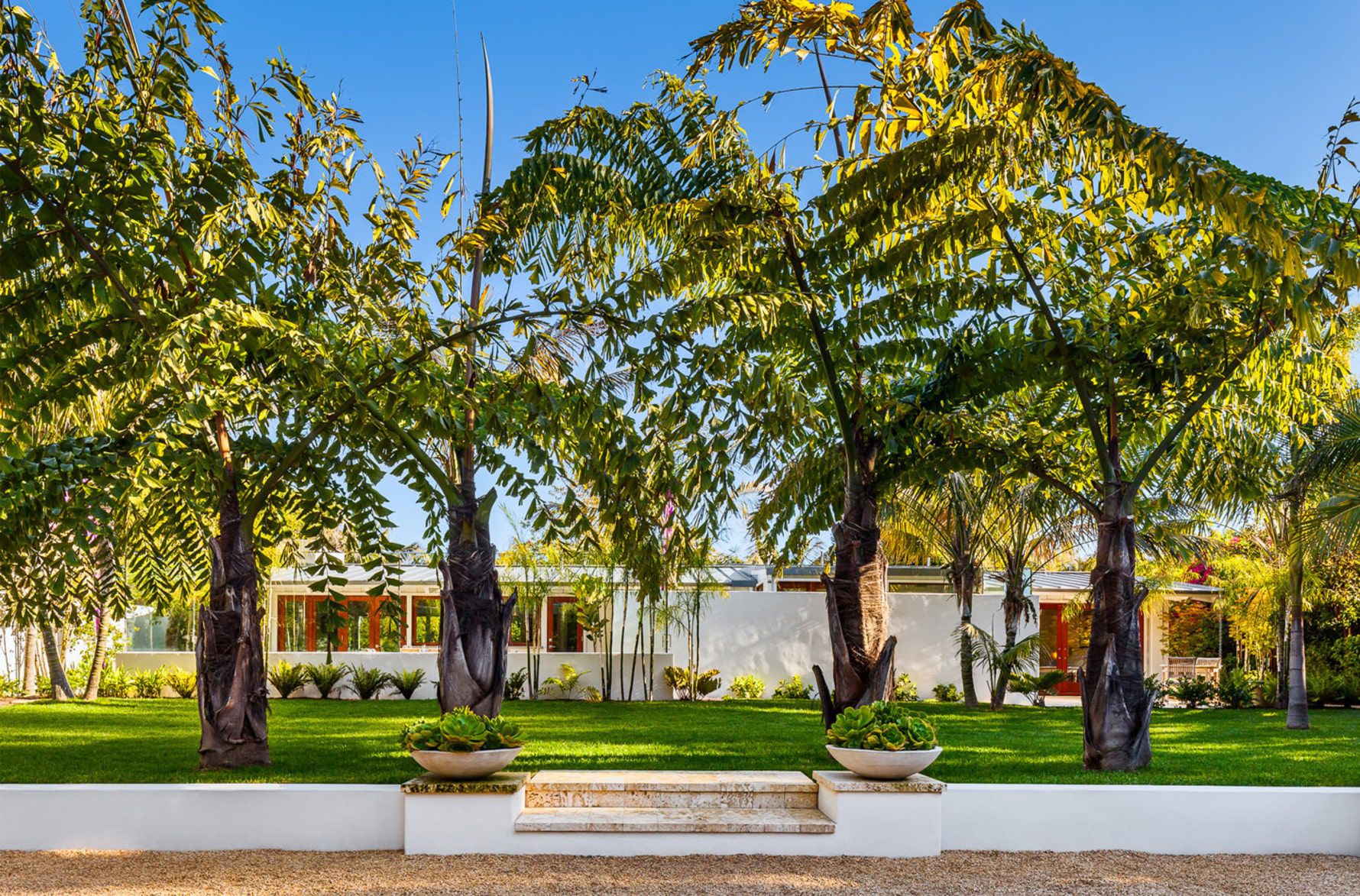 Butterfly-Beach-Villa-Mid-century-Modern-Fan-Palm-Trees